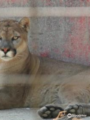 ブラウンズ・オークリッジ動物園