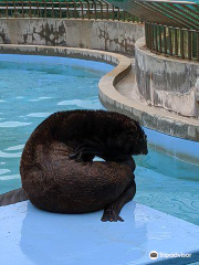 渋川マリン水族館（玉野海洋博物館）