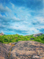 Kudumbigala Sanctuary