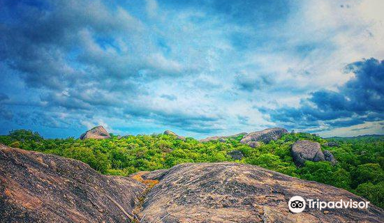 Ampara