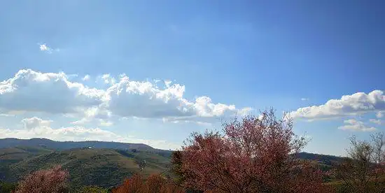 โรงแรมในตำบล กกสะทอน