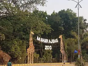 Maharaj Bagh Zoo