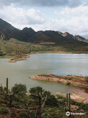 Laguna del Brealito