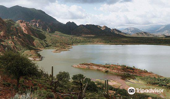 Laguna del Brealito
