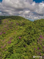 Serra Bonita Reserve