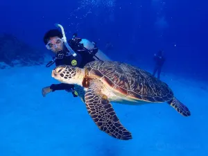 Scuba Diving in Okinawa