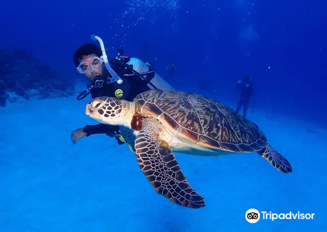 沖繩潛水