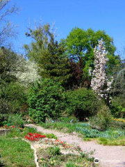 Jardin Botanique