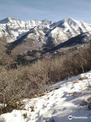 Rock Canyon Trail