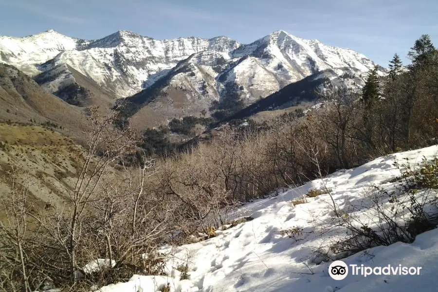 Rock Canyon Trail