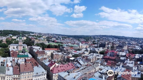 Lviv City Hall