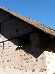 Agios Nikolaos tis Stegis Church