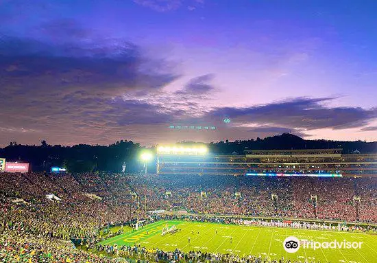 Rose Bowl Stadium