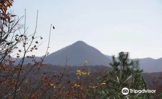 Leopard Land National Park