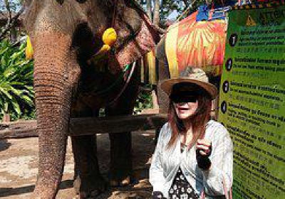 Chang Puak Camp Damnoen Saduak