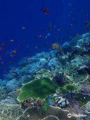 Batu Bolong Reef