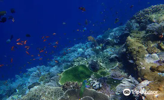 Batu Bolong Reef