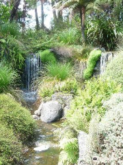 Ayrlies Garden and Wetlands