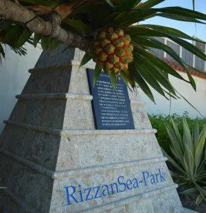 Rizzan Sea-Park Hotel Tancha Bay