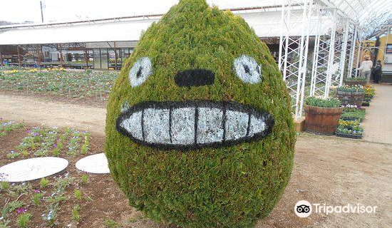 Shirakawa Flower World