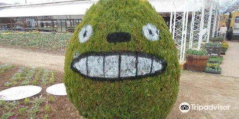 Shirakawa Flower World