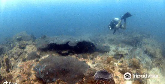 Diving in Sihanoukville