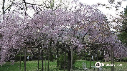 Kitayama Botanical Garden