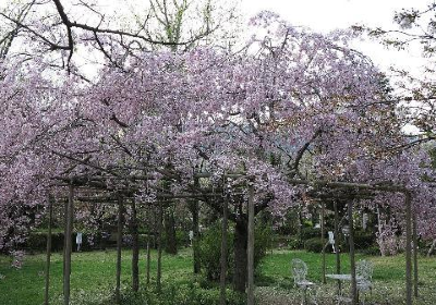 西宮市北山緑化植物園