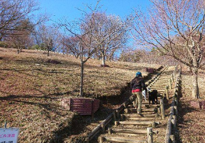 Miyagase Lake