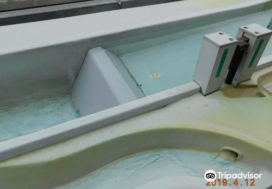 5_Arakawa Museum of Aqua (amoa)