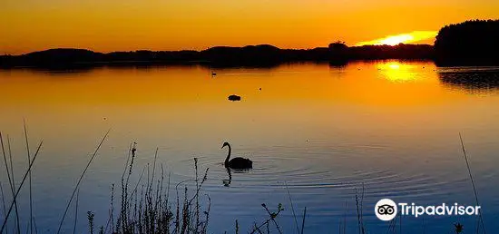 Lake Horowhenua