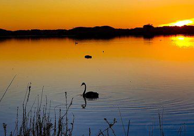 Lake Horowhenua