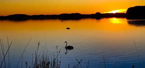 Các khách sạn gần Lake Horowhenua