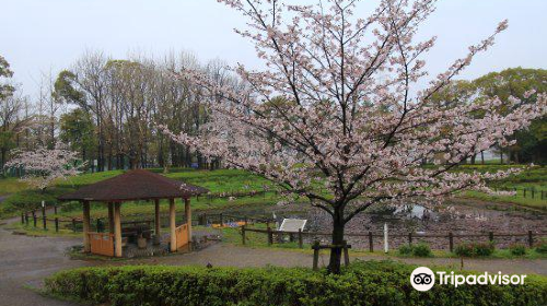 Hidaka Park