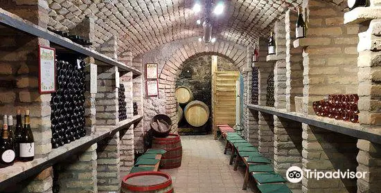 Fata Cellar