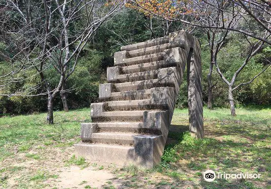 Stairs with 12 Steps for Training