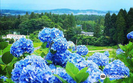 赤坂公衆園