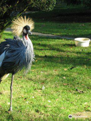 ファウナ動物園