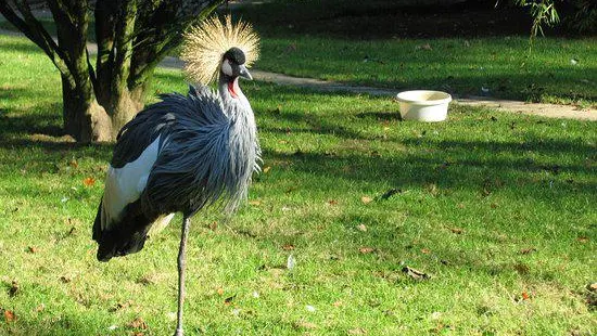 ファウナ動物園