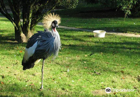 Tierpark Fauna