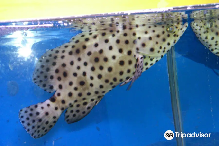 サンピアザ水族館