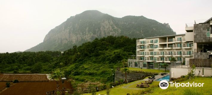 Y Resort Jeju Hotels in Seogwipo