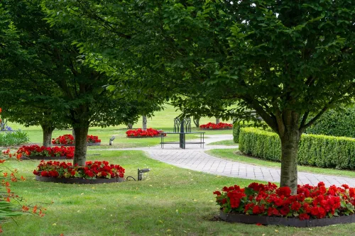 Mullingar Park Hotel - bar