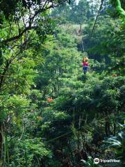 Botanical World Adventures