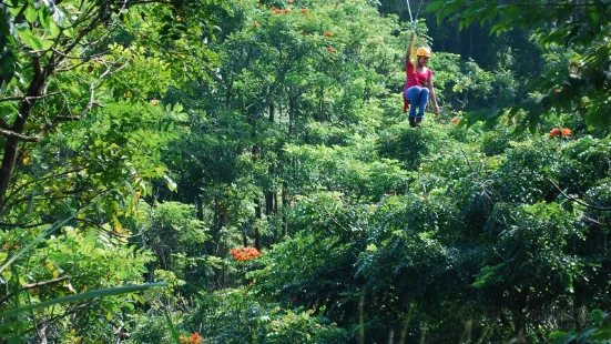 Botanical World Adventures