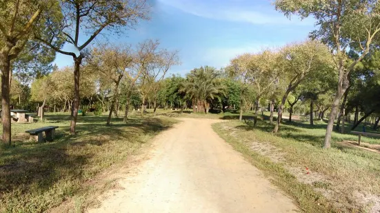 Parque de San Benito