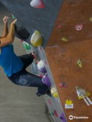 Crux Rock Climbing Gym