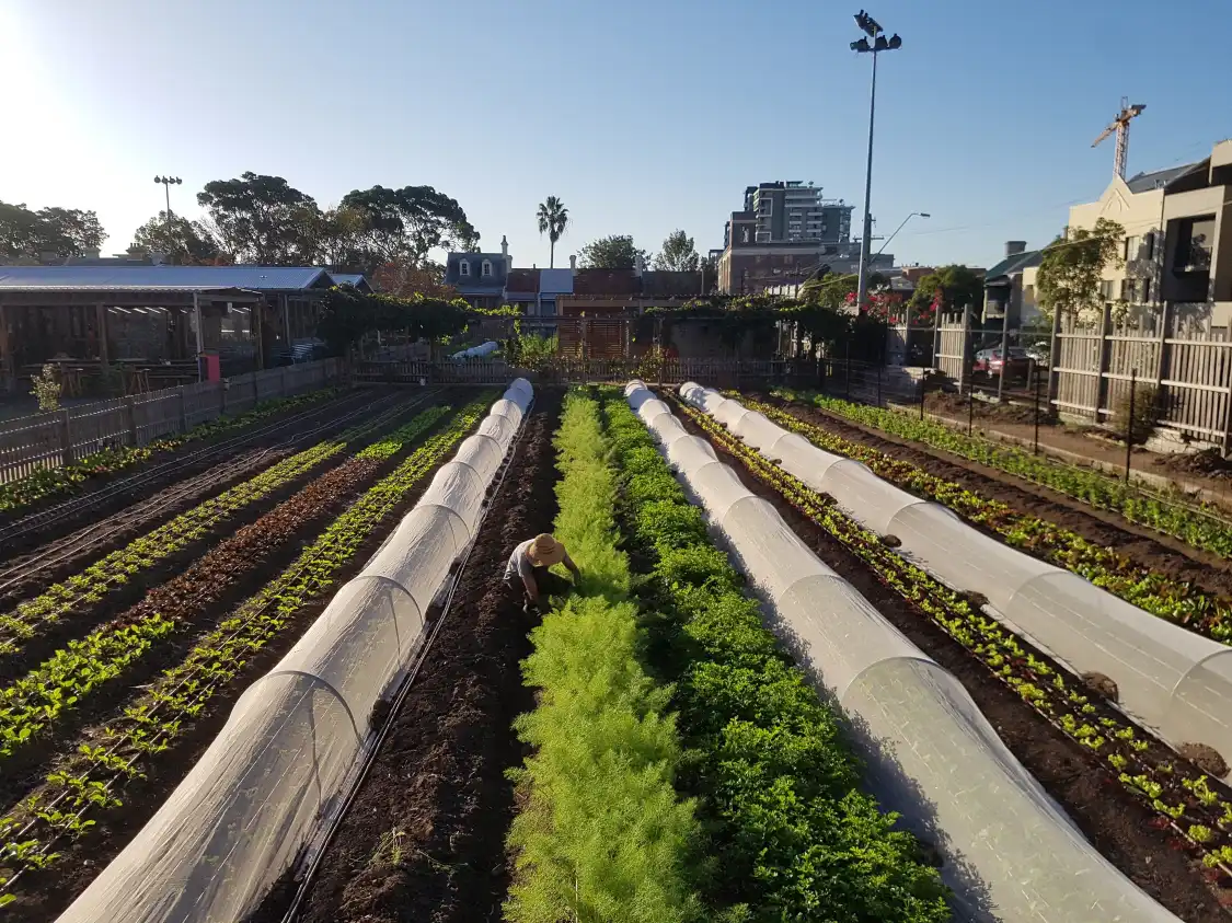 Hôtels à proximité de : Pocket City Farms