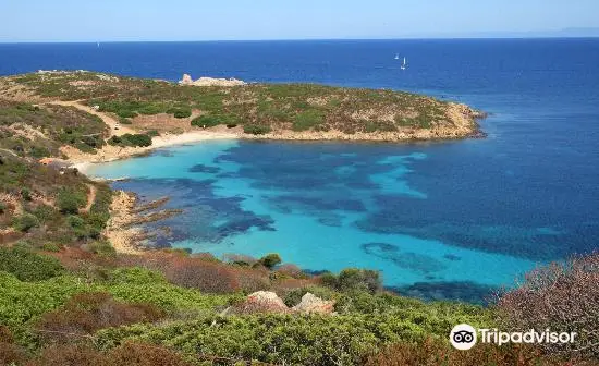 Wild Asinara Park