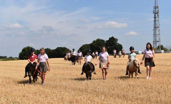 Shetland Pony Club
